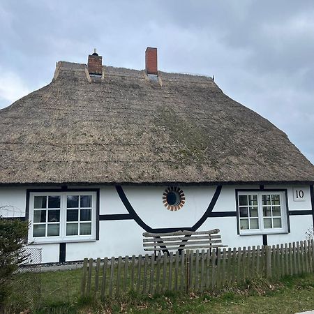 Urlaub Unterm Reetdach Auf Dem Darss Vila Fuhlendorf  Exterior foto