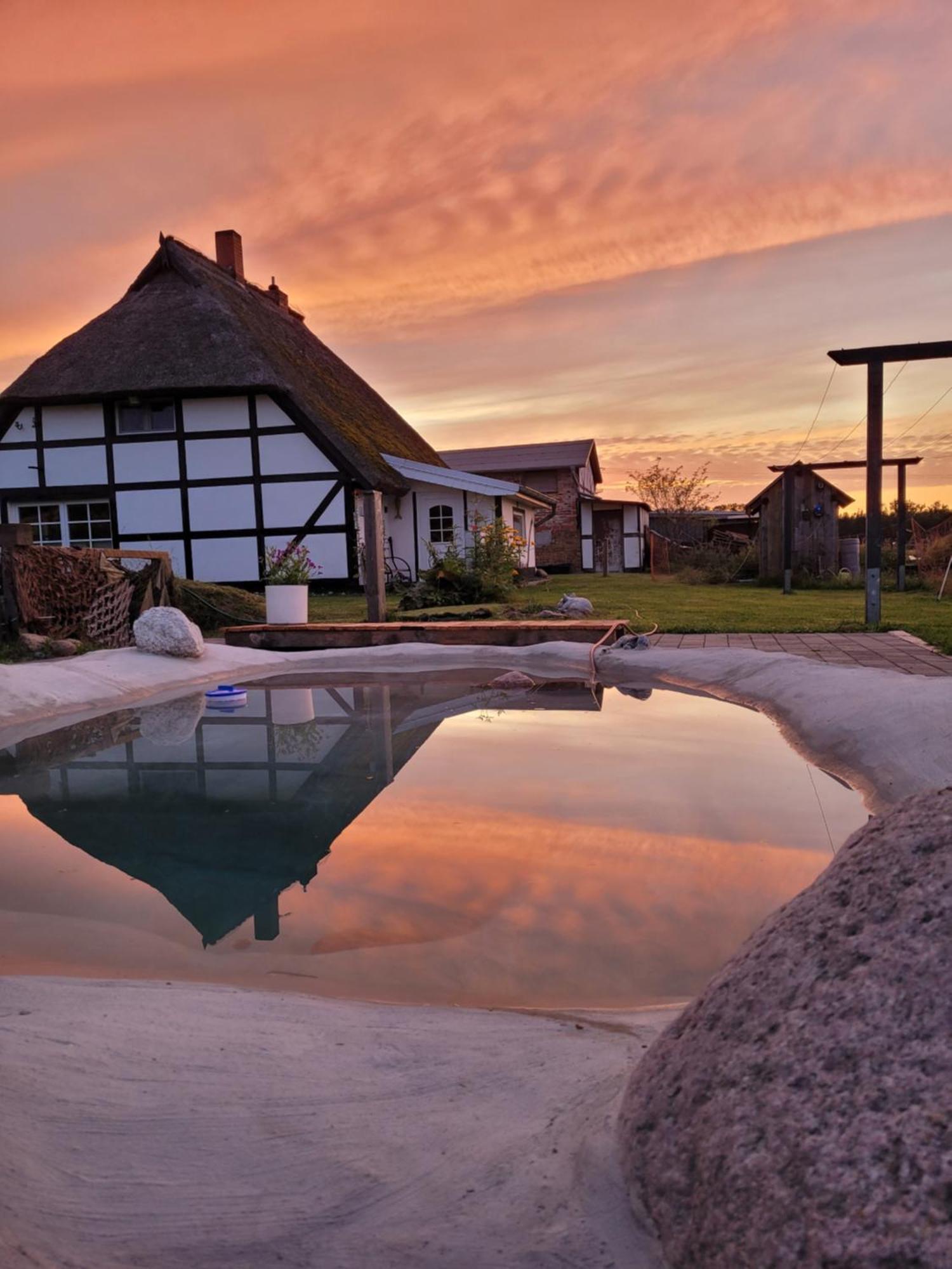 Urlaub Unterm Reetdach Auf Dem Darss Vila Fuhlendorf  Exterior foto