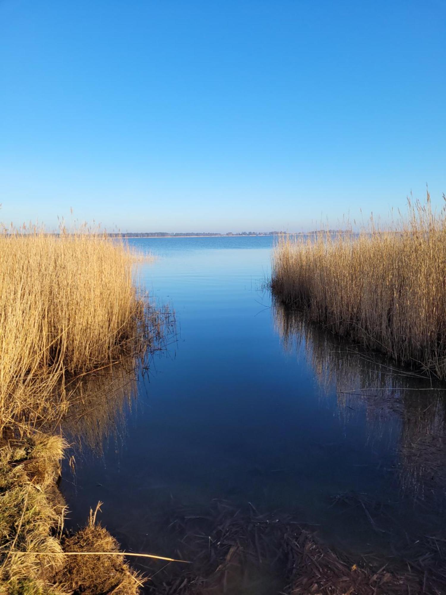Urlaub Unterm Reetdach Auf Dem Darss Vila Fuhlendorf  Exterior foto
