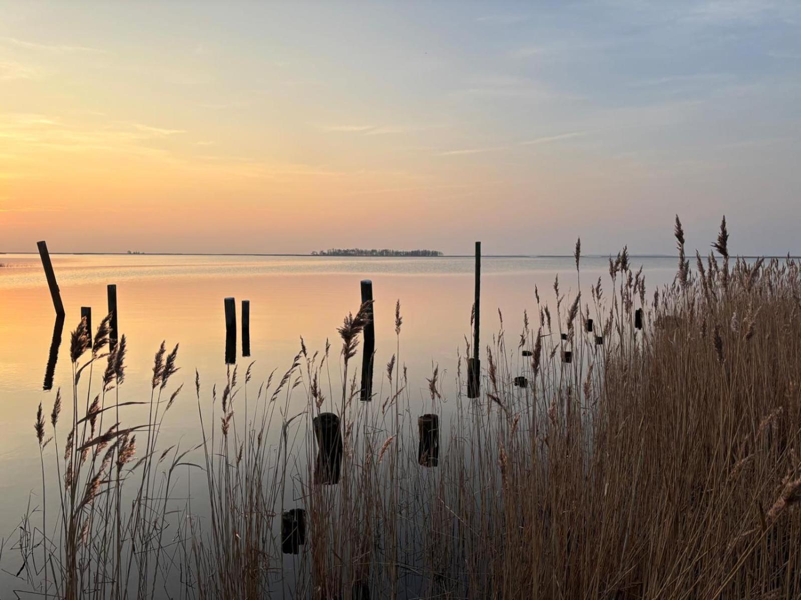 Urlaub Unterm Reetdach Auf Dem Darss Vila Fuhlendorf  Exterior foto
